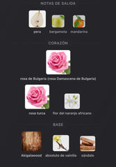 Impadia BDK Parfums Eau de Parfum 100 ml