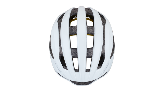 2024 | Loma Helmet