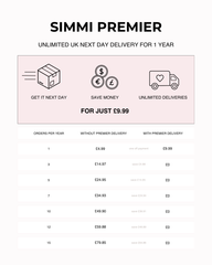PREMIER UNLIMITED NEXT DAY DELIVERY