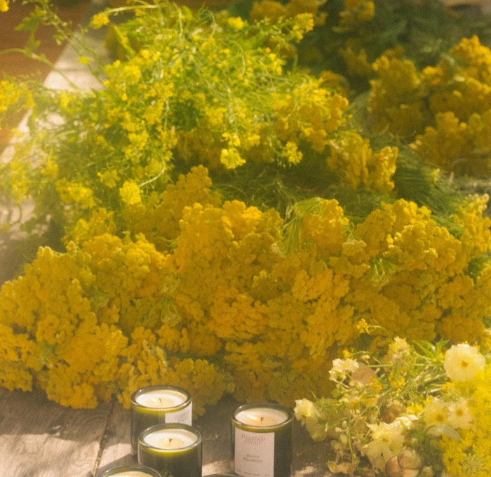 Golden Pollinator Candle