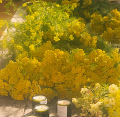 Golden Pollinator Candle