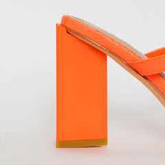 Ivan Coral Snake Print Block Heel Mules